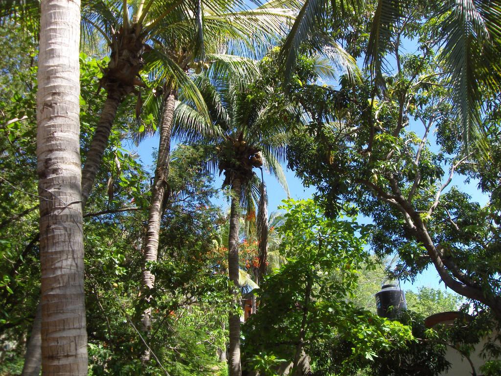 El Almendro Hotell Puerto Ángel Exteriör bild